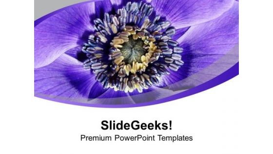 Purple Colored Flower Background PowerPoint Templates Ppt Backgrounds For Slides 0513