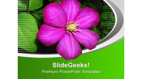 Purple Flower For Joy Theme PowerPoint Templates Ppt Backgrounds For Slides 0513