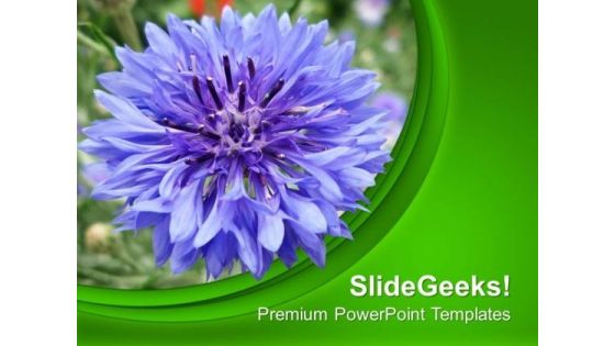 Purple Flower With Green Background PowerPoint Templates Ppt Backgrounds For Slides 0613