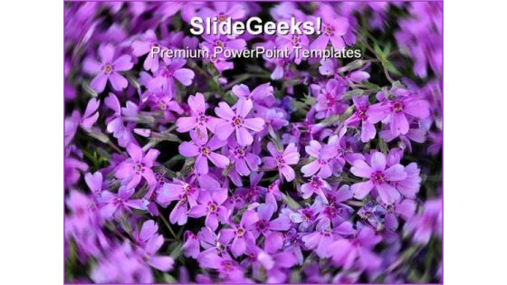 Purple Flowers Nature PowerPoint Templates And PowerPoint Backgrounds 0211 Purple Flowers Nature PowerPoint Templates And PowerPoint Backgrounds 0211