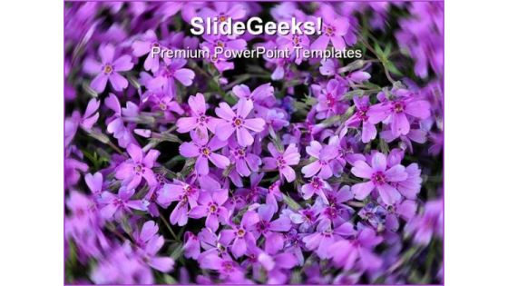 Purple Flowers Nature PowerPoint Templates And PowerPoint Backgrounds 0211