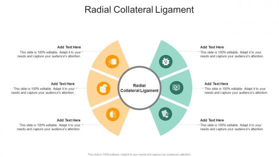 Radial Collateral Ligament In Powerpoint And Google Slides Cpb