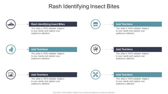 Rash Identifying Insect Bites In Powerpoint And Google Slides Cpb