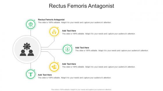 Rectus Femoris Antagonist In Powerpoint And Google Slides Cpb