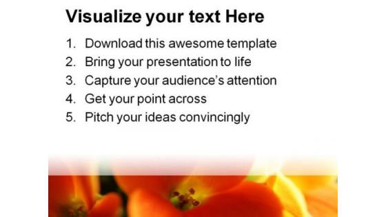 Red And Yellow Flower Beauty PowerPoint Themes And Slides 0311