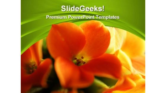Red And Yellow Flower Beauty PowerPoint Themes And Slides 0311