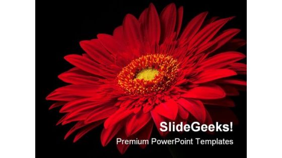 Red Flower Beauty PowerPoint Template 0810