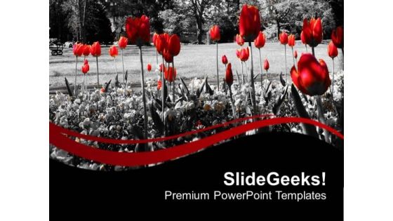 Red Flower With Black Background PowerPoint Templates Ppt Backgrounds For Slides 0713