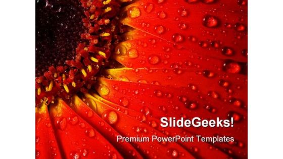 Red Gerbera Beauty PowerPoint Backgrounds And Templates 1210