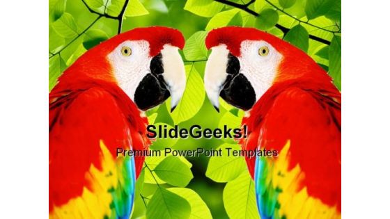 Red Macaw Animals PowerPoint Template 0910