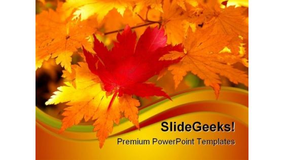 Red Maple Leaf Nature PowerPoint Templates And PowerPoint Backgrounds 0611