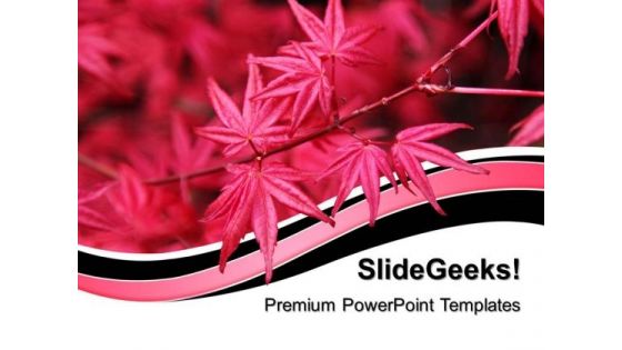 Red Maple Leaf Nature PowerPoint Templates And PowerPoint Themes 0512 Red Maple Leaf Nature PowerPoint Templates And PowerPoint Themes 0512