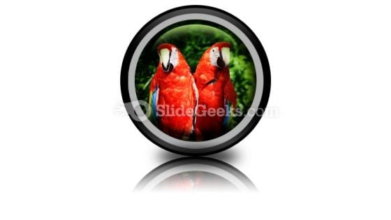 Red Parrots PowerPoint Icon Cc