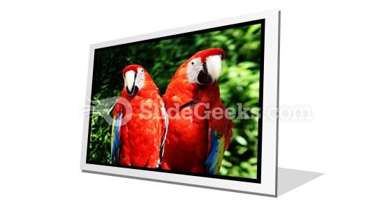 Red Parrots PowerPoint Icon F Red Parrots PowerPoint Icon F