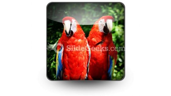 Red Parrots PowerPoint Icon S