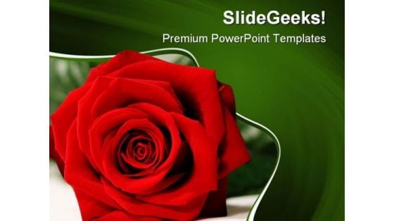 Red Rose Beauty PowerPoint Templates And PowerPoint Backgrounds 0211