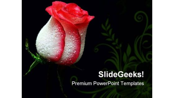 Red Rose Beauty PowerPoint Templates And PowerPoint Backgrounds 0611