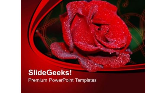 Red Rose Flower Beauty PowerPoint Templates Ppt Backgrounds For Slides 0313