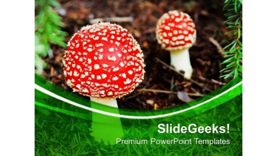 Red Top Mashrooms Nature Theme PowerPoint Templates Ppt Backgrounds For Slides 0613