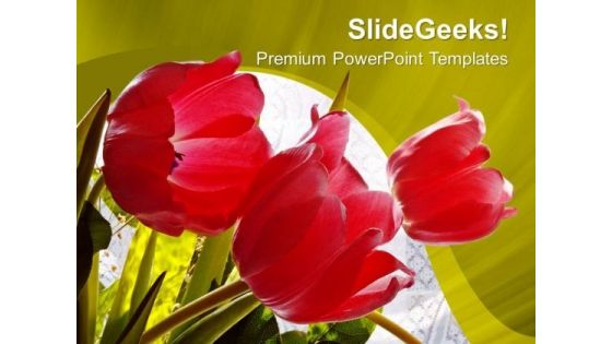 Red Tulips Beauty Of Nature PowerPoint Templates Ppt Backgrounds For Slides 0513