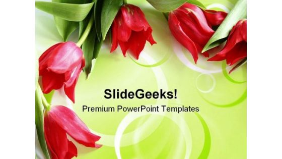 Red Tulips Beauty PowerPoint Templates And PowerPoint Backgrounds 0711