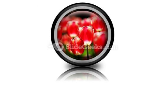 Red Tulips PowerPoint Icon Cc Red Tulips PowerPoint Icon Cc