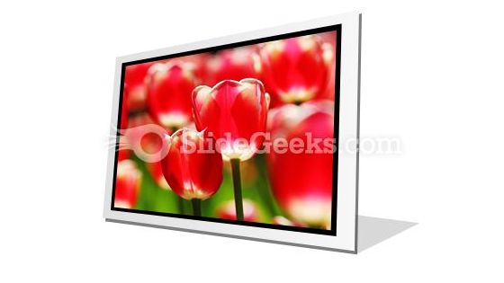 Red Tulips PowerPoint Icon F Red Tulips PowerPoint Icon F