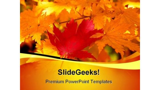 Red Yellow Maple Leaf Nature PowerPoint Templates And PowerPoint Backgrounds 0311