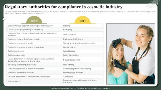 Regulatory Authorities For Compliance In Cosmetic Industry Successful Launch Ppt Template Regulatory Authorities For Compliance In Cosmetic Industry Successful Launch Ppt Template