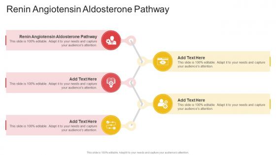 Renin Angiotensin Aldosterone Pathway In Powerpoint And Google Slides Cpb
