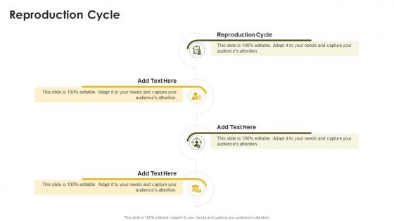 Reproduction Cycle In Powerpoint And Google Slides Cpb