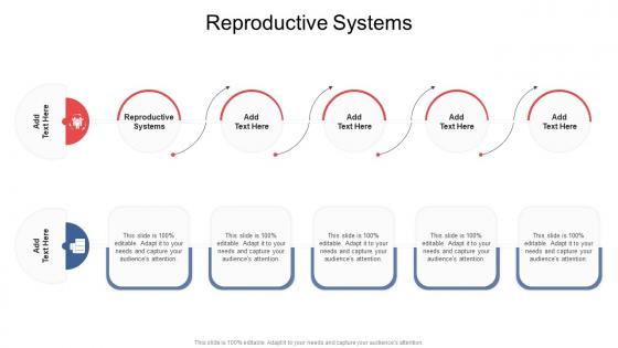 Reproductive Systems In Powerpoint And Google Slides Cpb