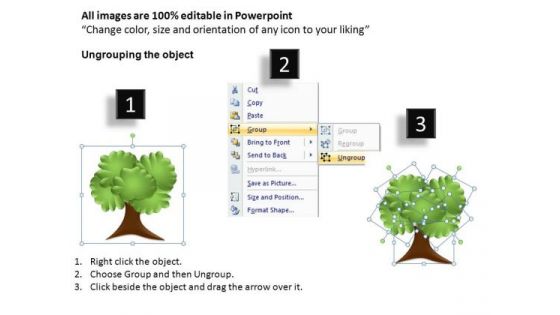 Research Family Tree PowerPoint Templates
