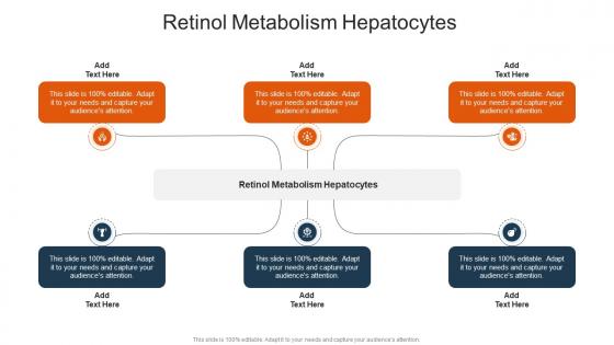 Retinol Metabolism Hepatocytes In Powerpoint And Google Slides Cpb