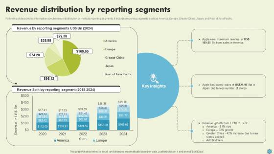 Revenue Distribution By Reporting Segments Consumer Electronics Company Profile CP SS V Revenue Distribution By Reporting Segments Consumer Electronics Company Profile CP SS V