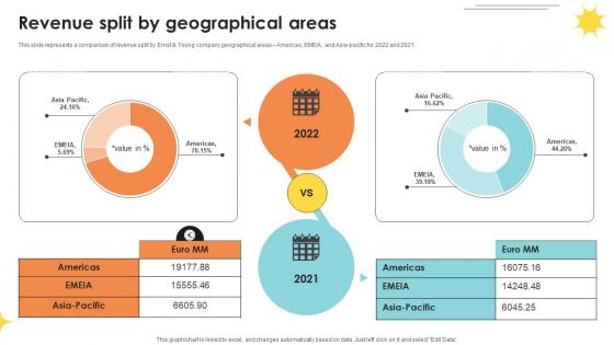 Revenue Split By Geographical Areas Professional Services And Tax Advisory Company Profile CP SS V