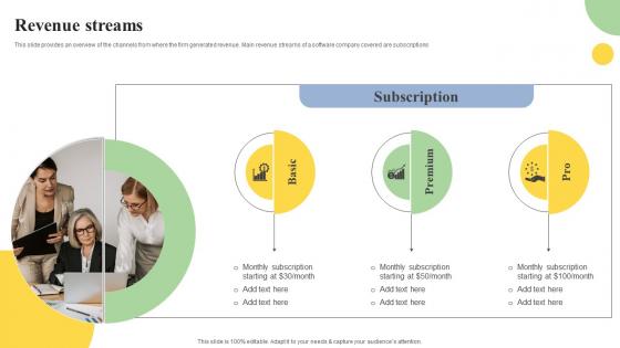 Revenue Streams Cloud Based ERP Software Investor Financing Elevator Pitch Deck Information Pdf