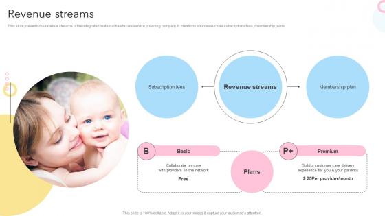 Revenue Streams Maternity Support Platform Pitch Deck