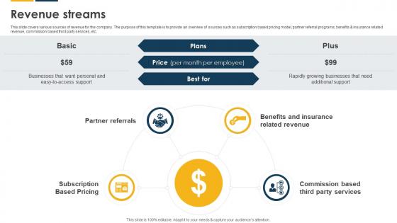 Revenue Streams Payroll Solutions Provider Investor Funding Elevator Pitch Deck