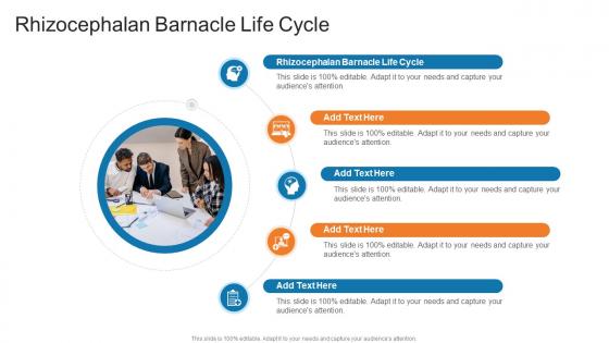 Rhizocephalan Barnacle Life Cycle In Powerpoint And Google Slides Cpb