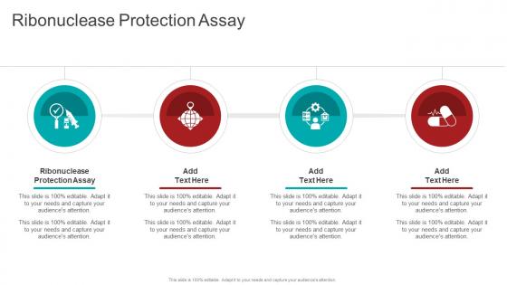 Ribonuclease Protection Assay In Powerpoint And Google Slides Cpb Ribonuclease Protection Assay In Powerpoint And Google Slides Cpb