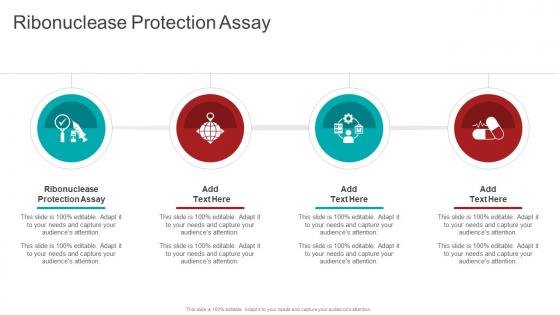 Ribonuclease Protection Assay In Powerpoint And Google Slides Cpb