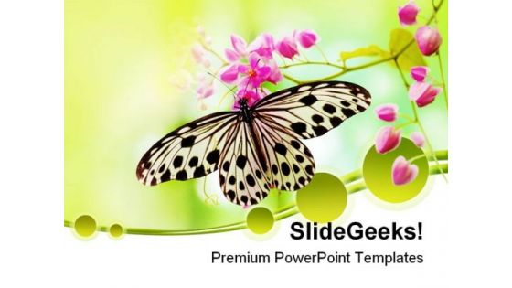 Rice Paper Butterfly Beauty PowerPoint Templates And PowerPoint Backgrounds 0211