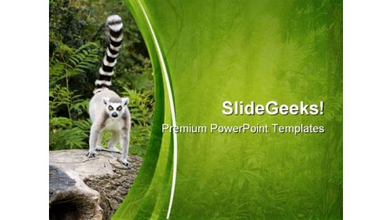 Ring Tailed Lemur On Tree Animals PowerPoint Templates And PowerPoint Backgrounds 0611