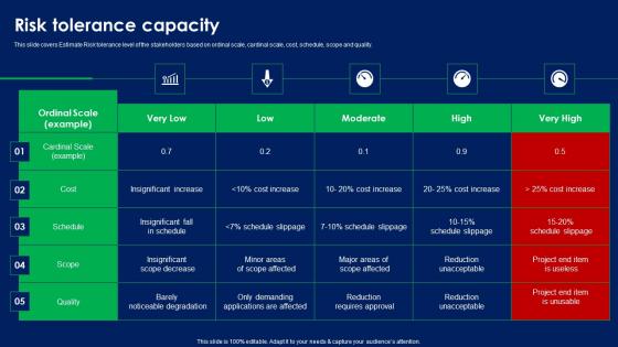 Risk Tolerance Capacity Quality Risk Assessment Introduction PDF