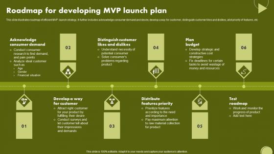 Roadmap For Developing MVP Launch Plan Introduction Pdf