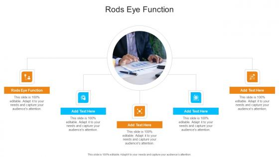 Rods Eye Function In Powerpoint And Google Slides Cpb