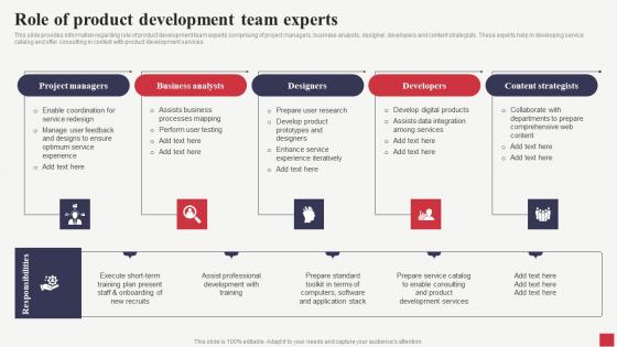 Role Of Product Development Team Experts Public Sector Digital Solutions Sample Pdf