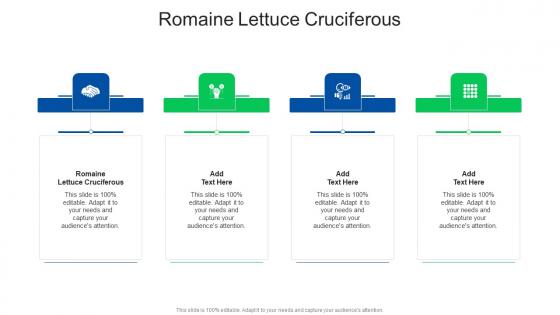 Romaine Lettuce Cruciferous In Powerpoint And Google Slides Cpb