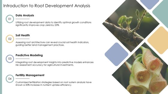 Root Development Analysis PPT Guidelines AT Slide03
